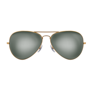 Aliquam erat volutpat