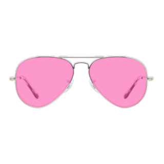 Suspendisse vehicula at dui