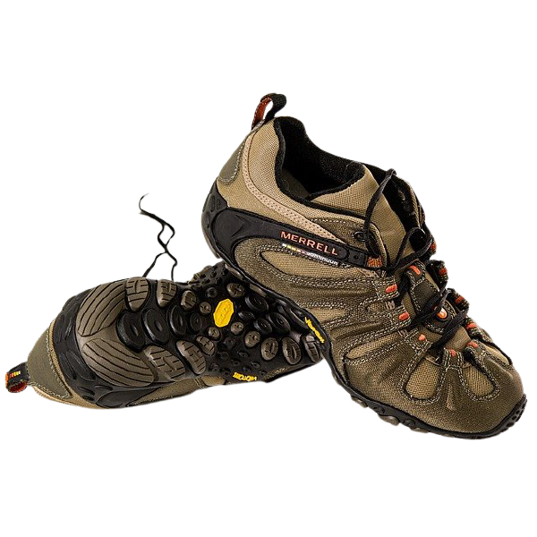 Cras viverra rhoncus